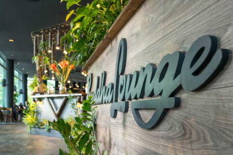 Buddha Lounge - Asiatisches Restaurant Braunschweig